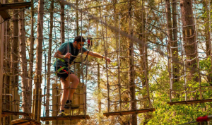 Go Ape Sherwood Pines 