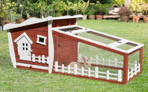 Spacious Rabbit Hutch